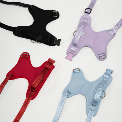 Harness
