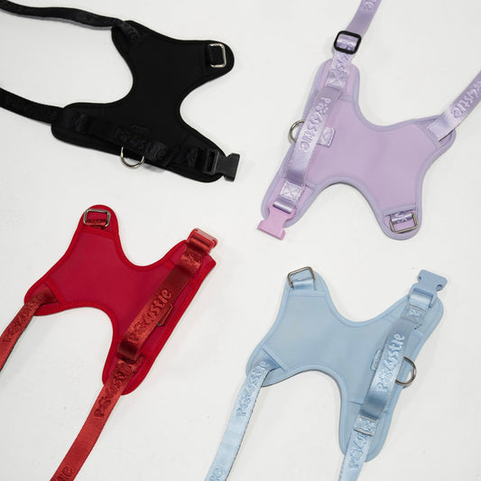 Harness