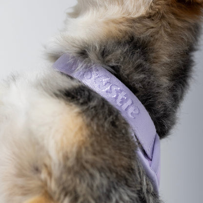 Harness