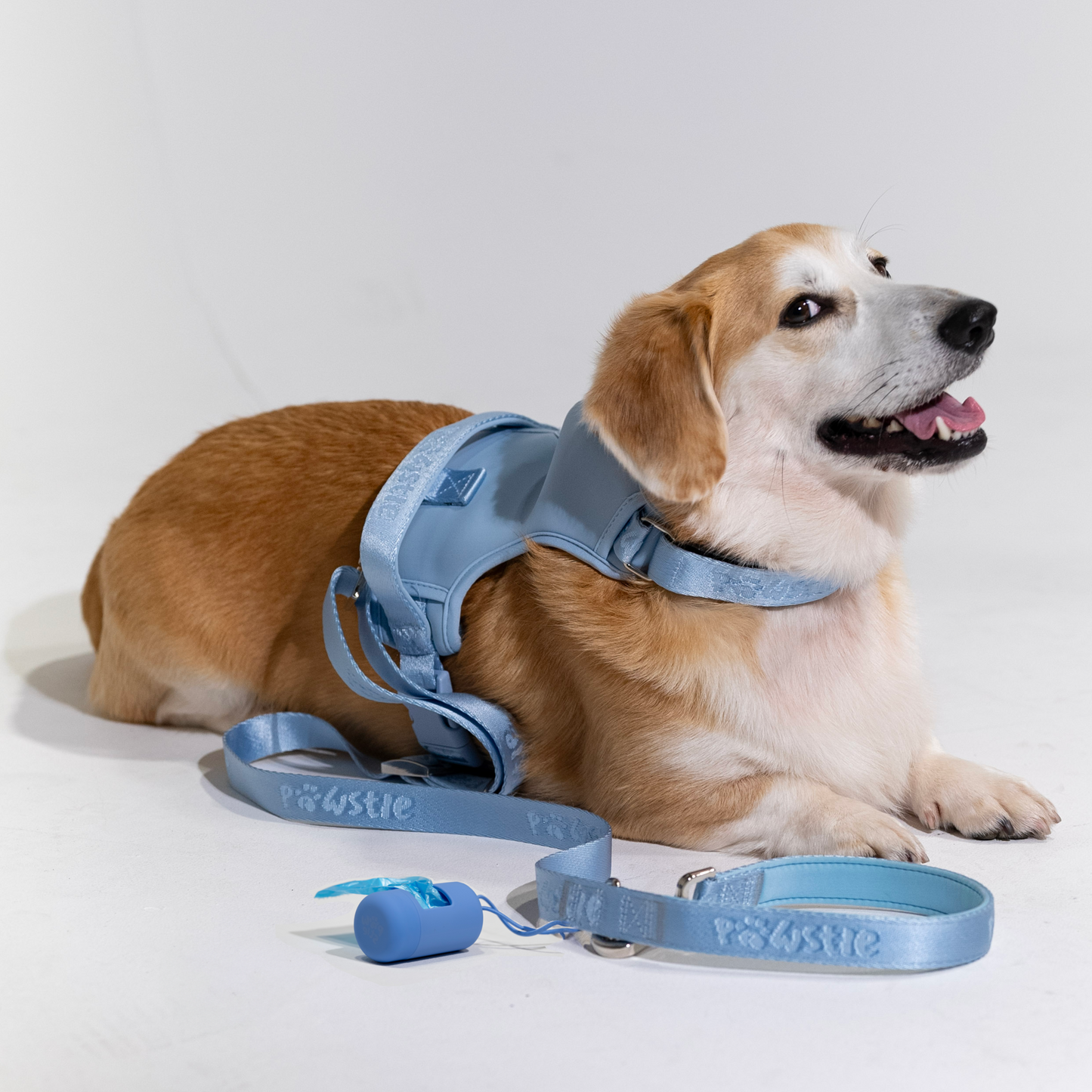 Walking Kit