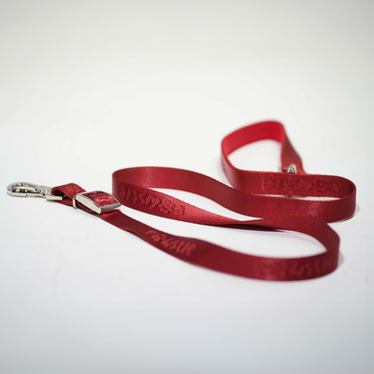 Jacquard Leash